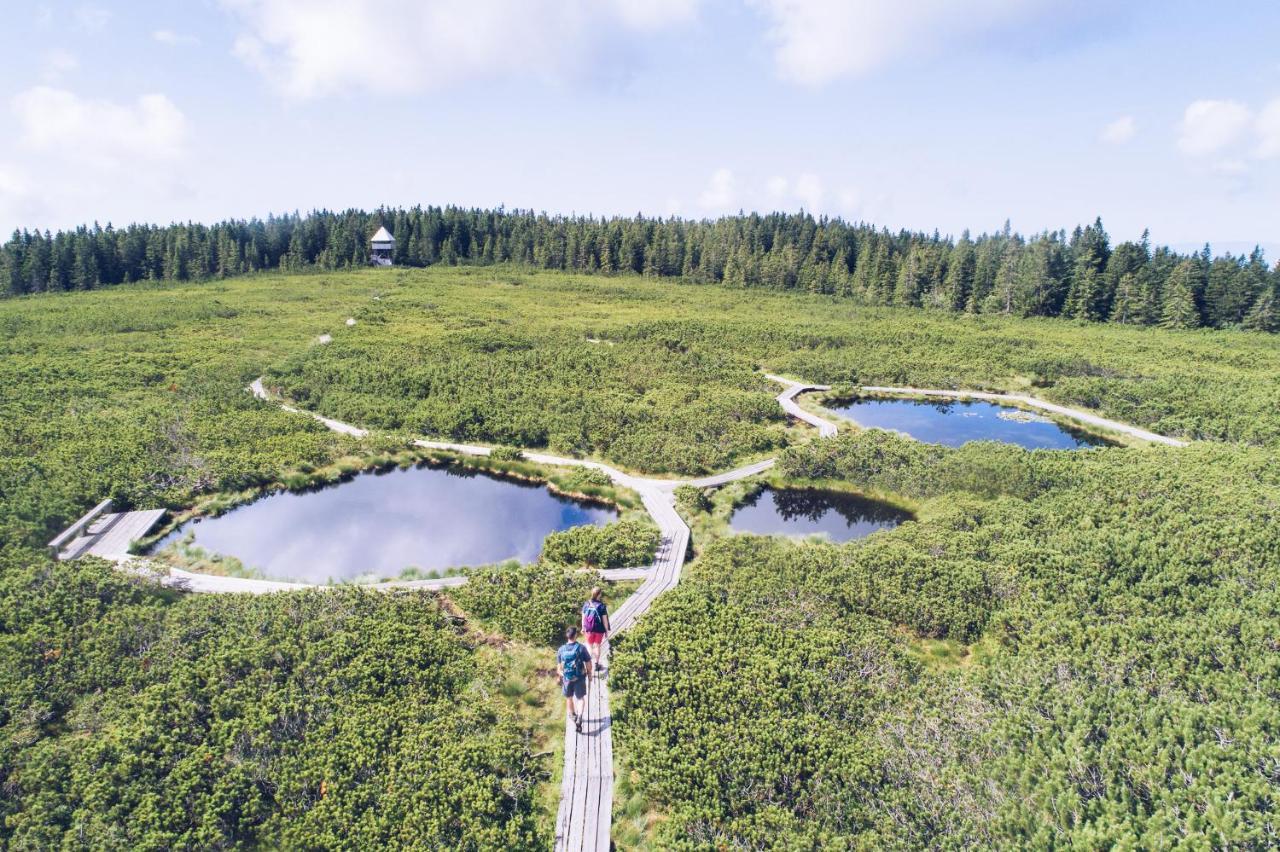 Pohorje Village Wellbeing - Wellness & Bolfenk Hotel
