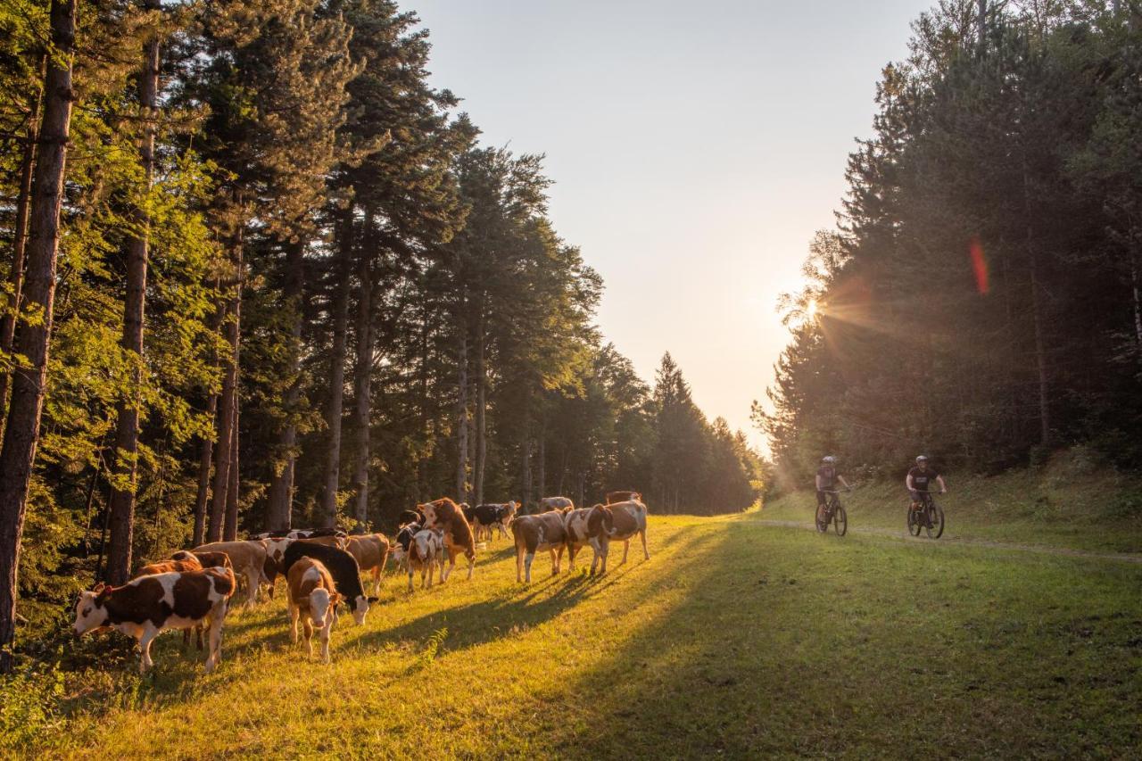 Pohorje Village Wellbeing - Wellness & Bolfenk Hotel Maribor
