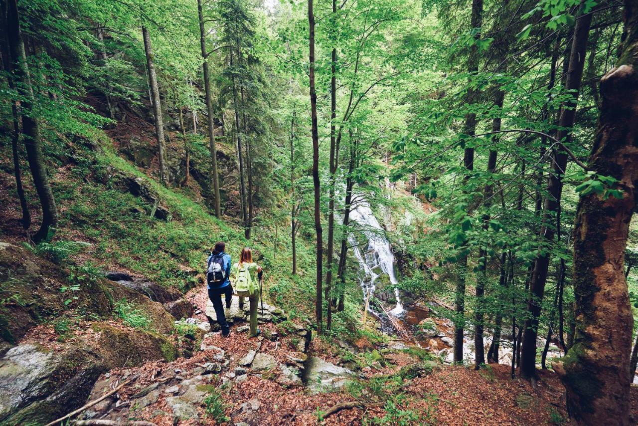 Pohorje Village Wellbeing - Wellness & Bolfenk 4* Maribor