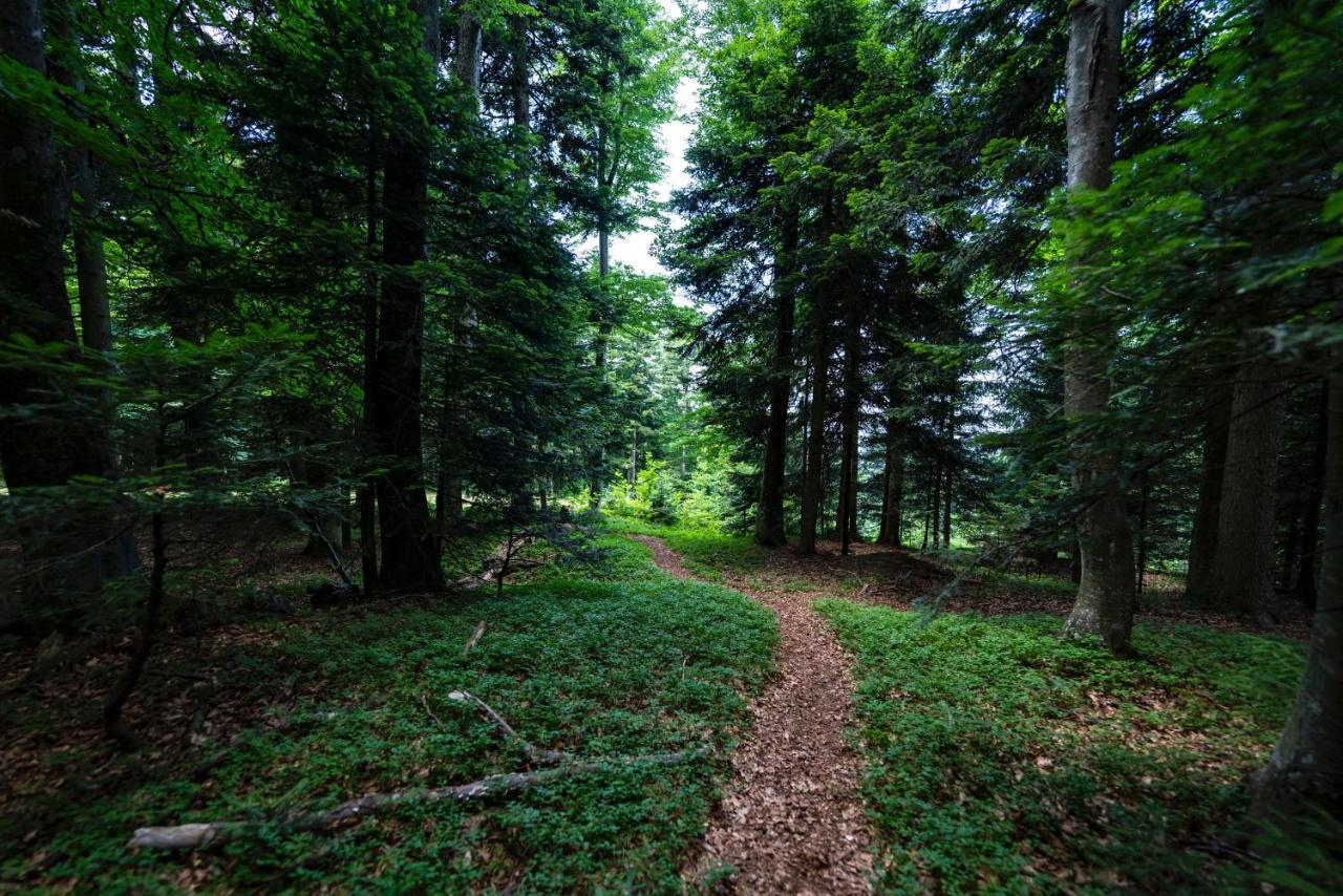 Pohorje Village Wellbeing - Wellness & Bolfenk Hotel