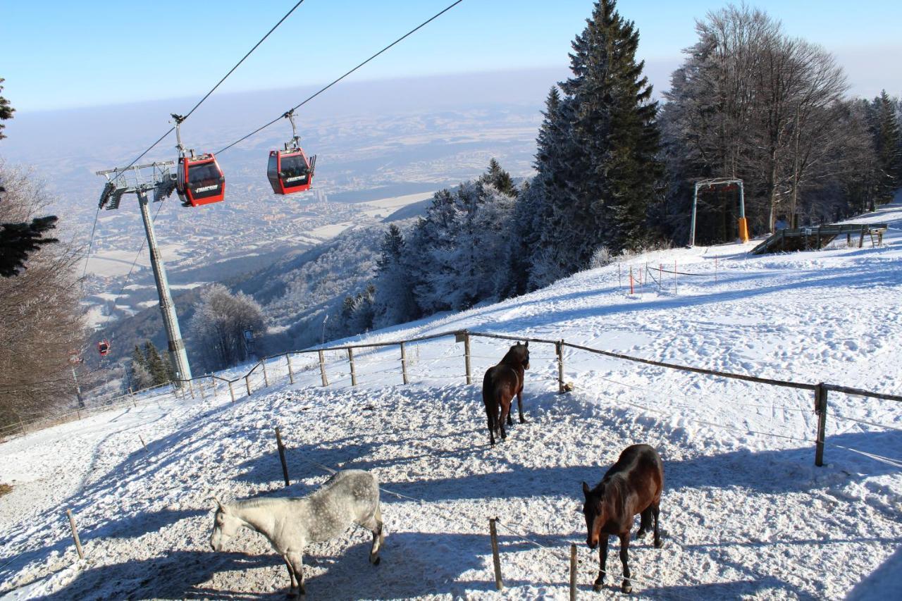 Hotel Pohorje Village Wellbeing - Wellness & Bolfenk Maribor